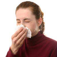 Hay Fever Exams Special Consideration